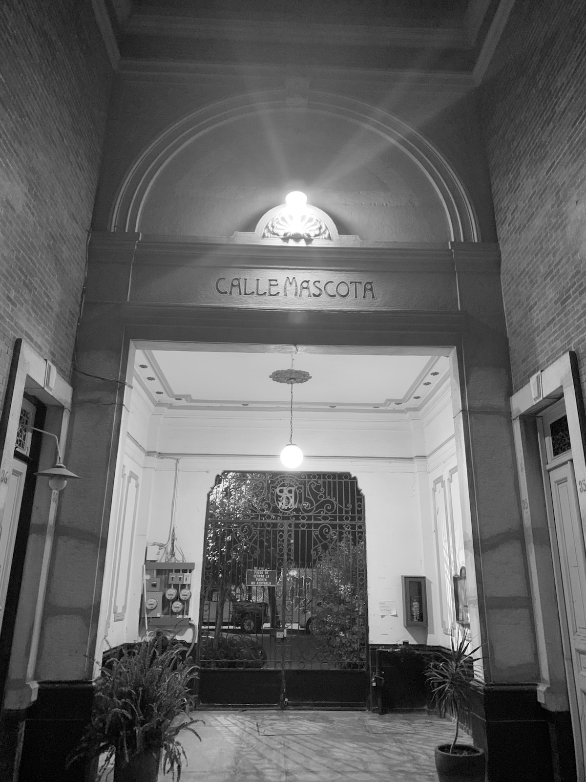 Entrada del edificio de nuestra oficina: un arco con el letrero «Calle Mascota» y, al fondo, una reja de herrería